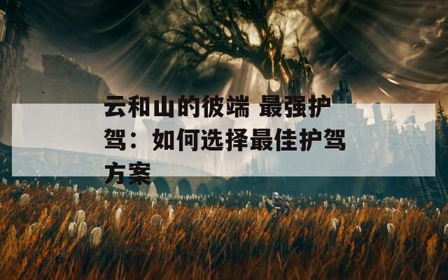 云和山的彼端 最强护驾：如何选择最佳护驾方案