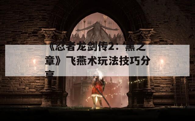 《忍者龙剑传2：黑之章》飞燕术玩法技巧分享