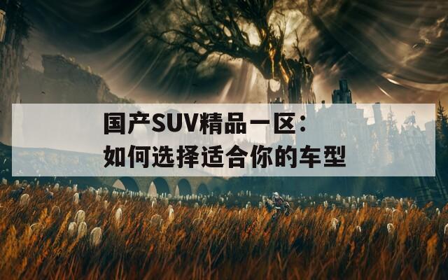 国产SUV精品一区：如何选择适合你的车型