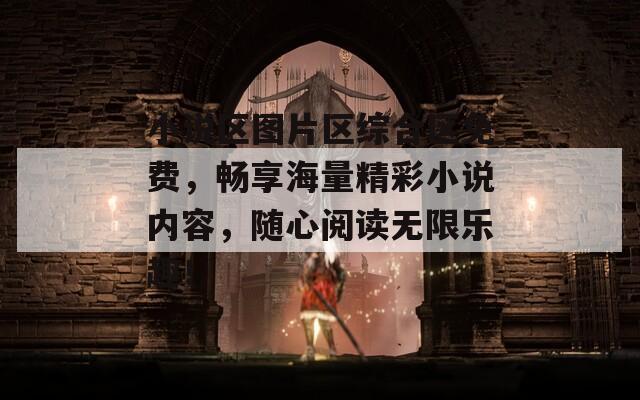 小说区图片区综合区免费，畅享海量精彩小说内容，随心阅读无限乐趣！