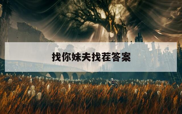 找你妹夫找茬答案