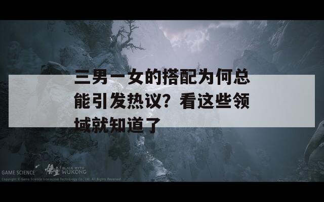 三男一女的搭配为何总能引发热议？看这些领域就知道了