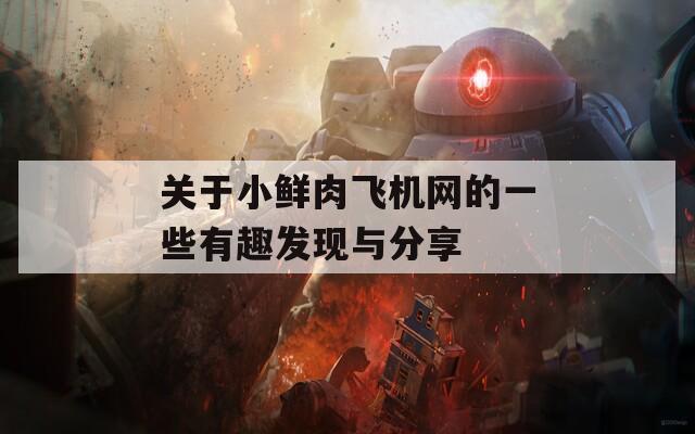 关于小鲜肉飞机网的一些有趣发现与分享