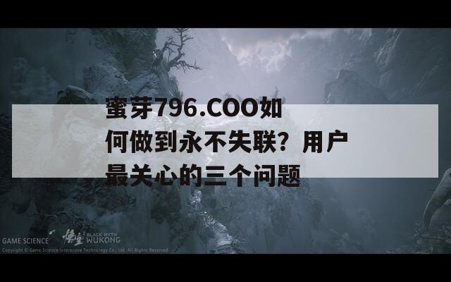 蜜芽796.COO如何做到永不失联？用户最关心的三个问题