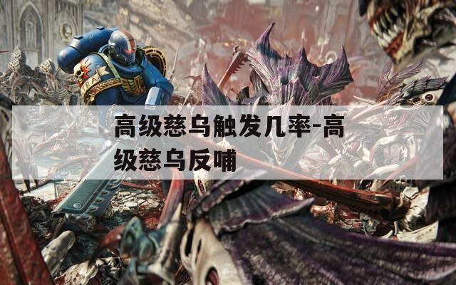 高级慈乌触发几率-高级慈乌反哺