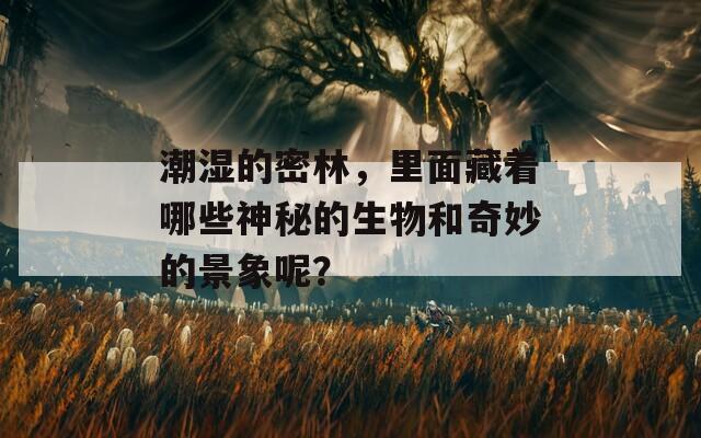 潮湿的密林，里面藏着哪些神秘的生物和奇妙的景象呢？