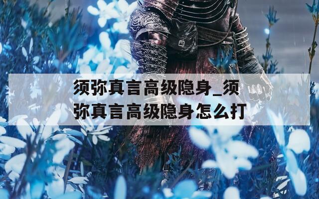 须弥真言高级隐身_须弥真言高级隐身怎么打