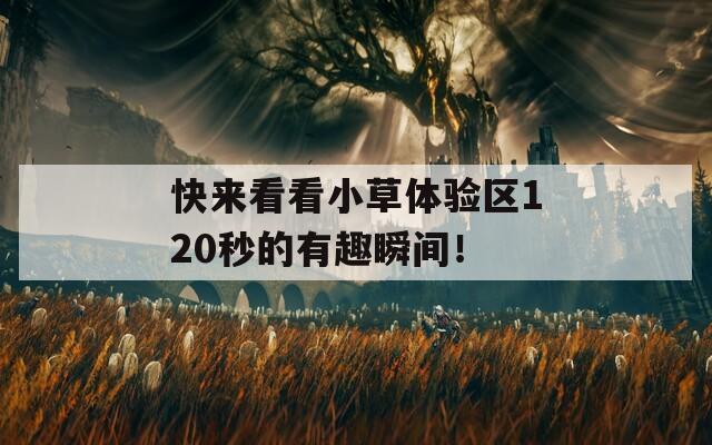 快来看看小草体验区120秒的有趣瞬间！